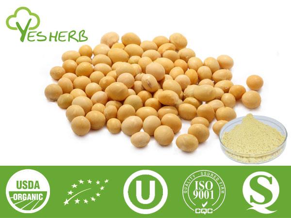 Soja-Extrakt - Soybean Isoflavone 40%, Soy lecithin 90%-98%,Daidzein 98%