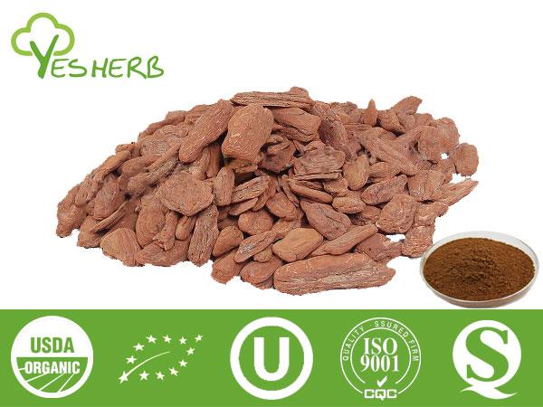 Auszug Pine Bark - Procyanidin (OPC) 90%-98%