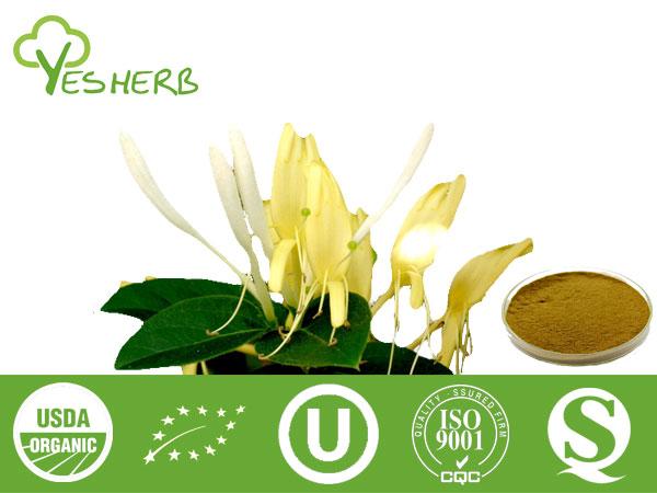 Extrait Honeysuckle - Chlorogenic Acids 5% - 98%