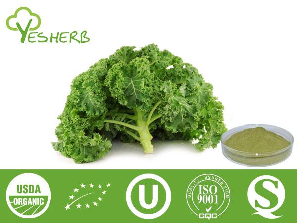 Kale poudre - Vegetable Powder