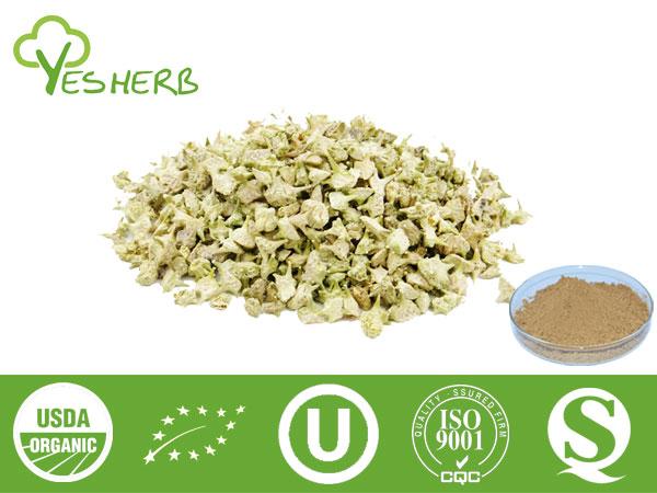 Tribulus Terrestris Extract - Tribuloside 40%-90%