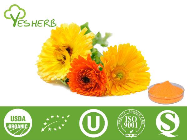 Marigold Extract - Lutein 5%-90%