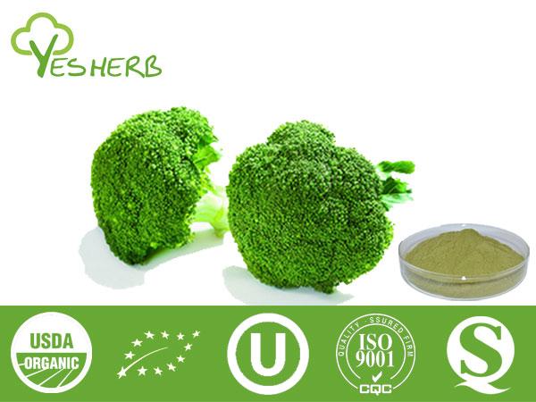 Broccoli pó - vegetable Powder